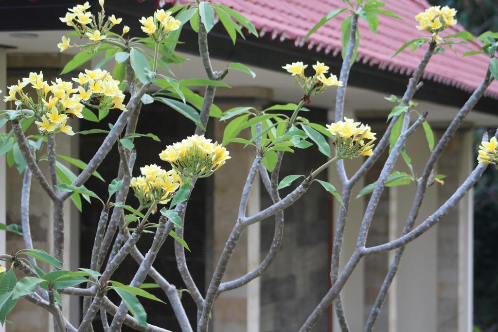 Lala Home Stay Nusa Dua  Exterior foto
